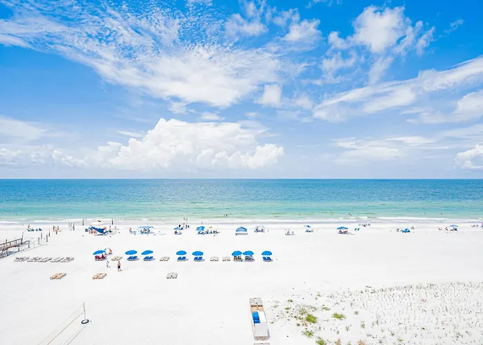 Dollar 511 * Clearwater Beach